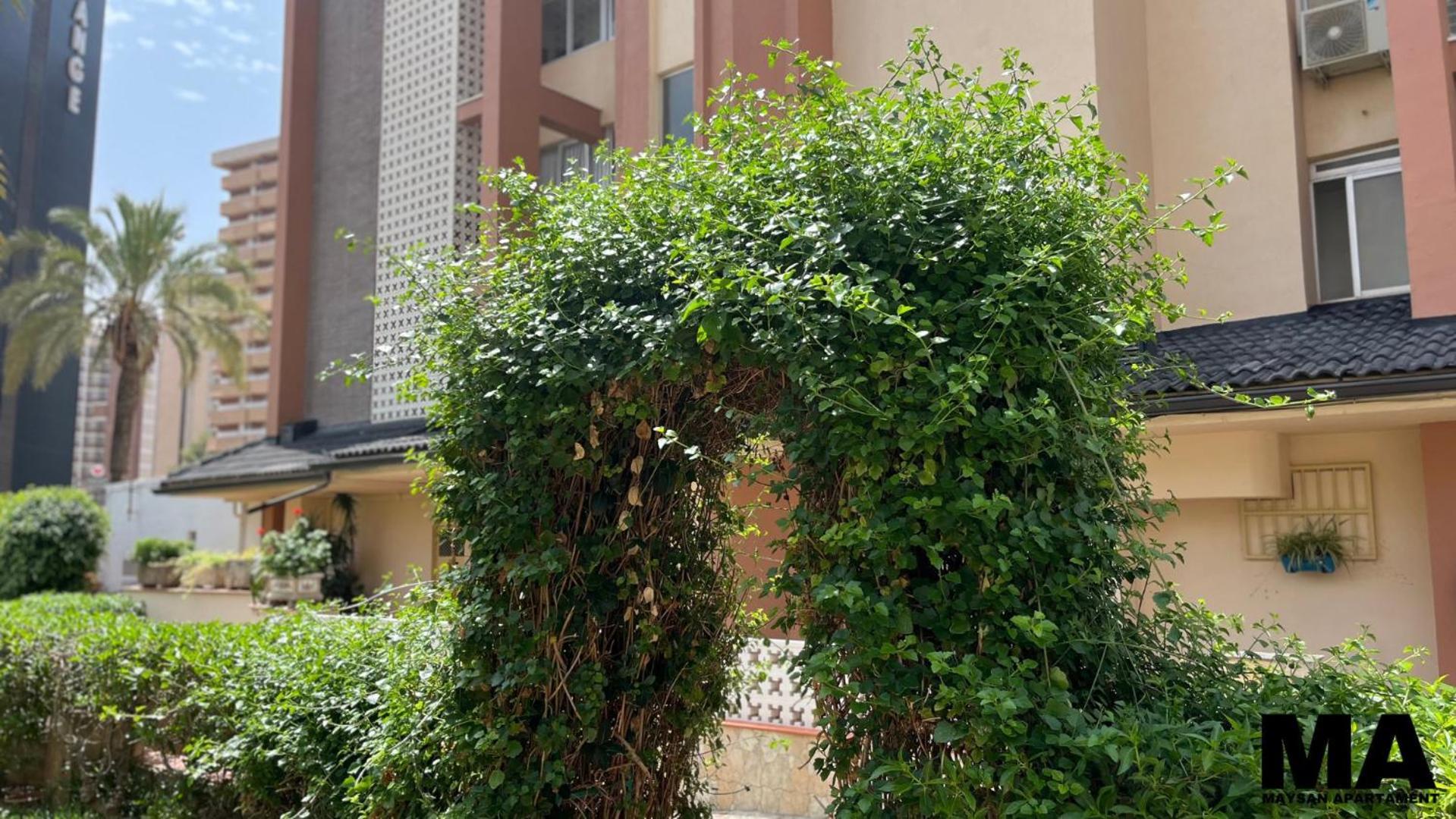 Pascual Apartamento *